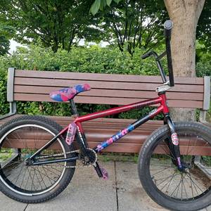 sunday forecaster bmx