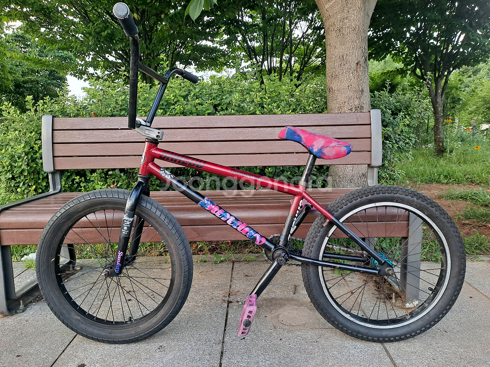 sunday forecaster bmx--1