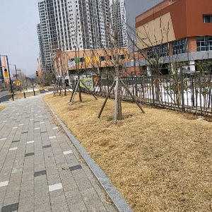 폴드3로 갤럭시s25울트라 교환