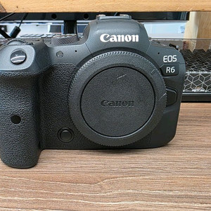 캐논 R6