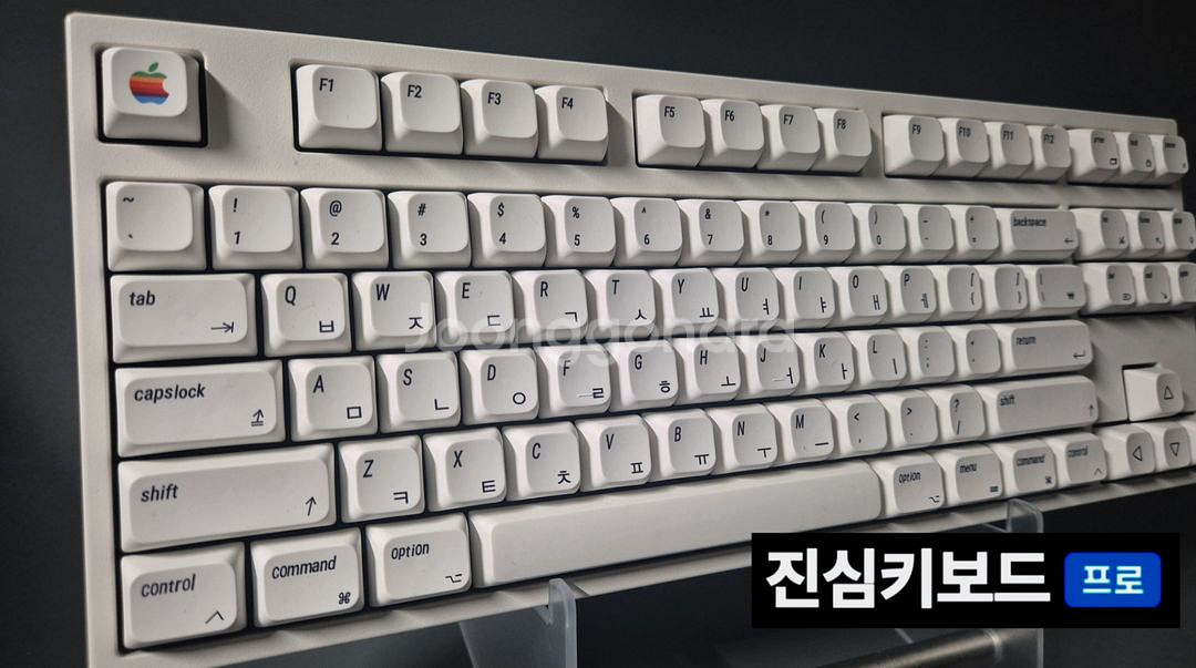 레오폴드 체리 *구형* 청축 스위치 (2014) 키보드--1