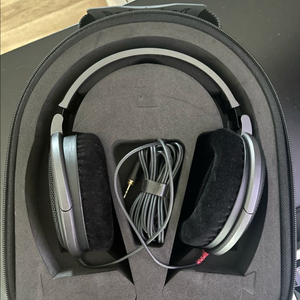 젠하이저 HD600