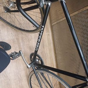 인터프로 경륜 판/대