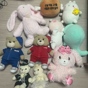 인형판매 테디베어 토끼인형 몰랑이 등