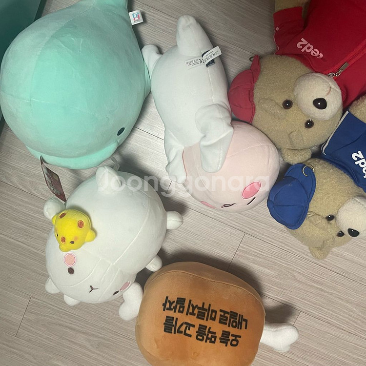 인형판매 테디베어 토끼인형 몰랑이 등--3