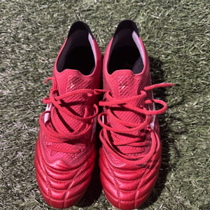 모렐리아 네오 베타 엘리트 270 ag