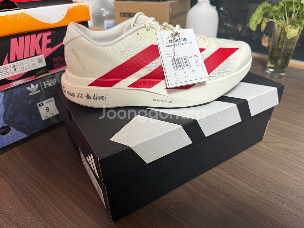 아디다스 아디제로 에보슬 evo sl 스칼렛 270--0