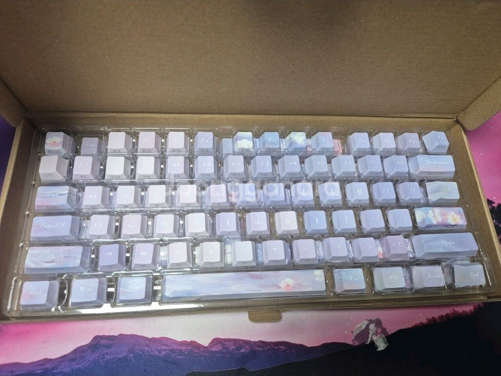 알리발 PBT 퍼플 키캡 130키--0