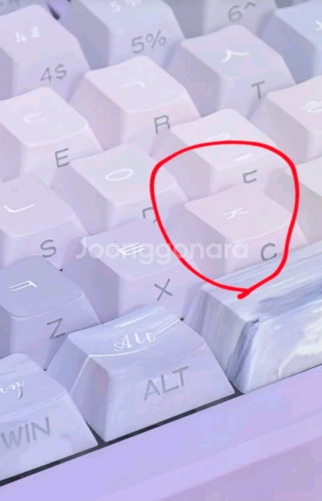 알리발 PBT 퍼플 키캡 130키--4