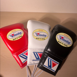 위닝 글러브 오피셜