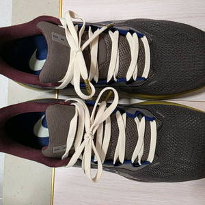 나이키 페가수스 41 295mm