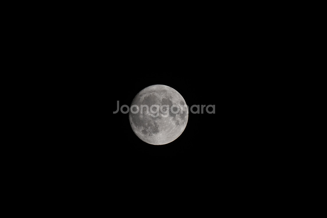 토키나 반사렌즈 500mm 니콘 z마운트--2