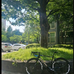 써벨로 로드 (희귀매물)