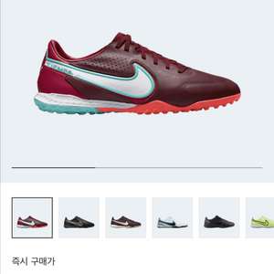 나이키 티엠포 레전드9 프로 tf 275
