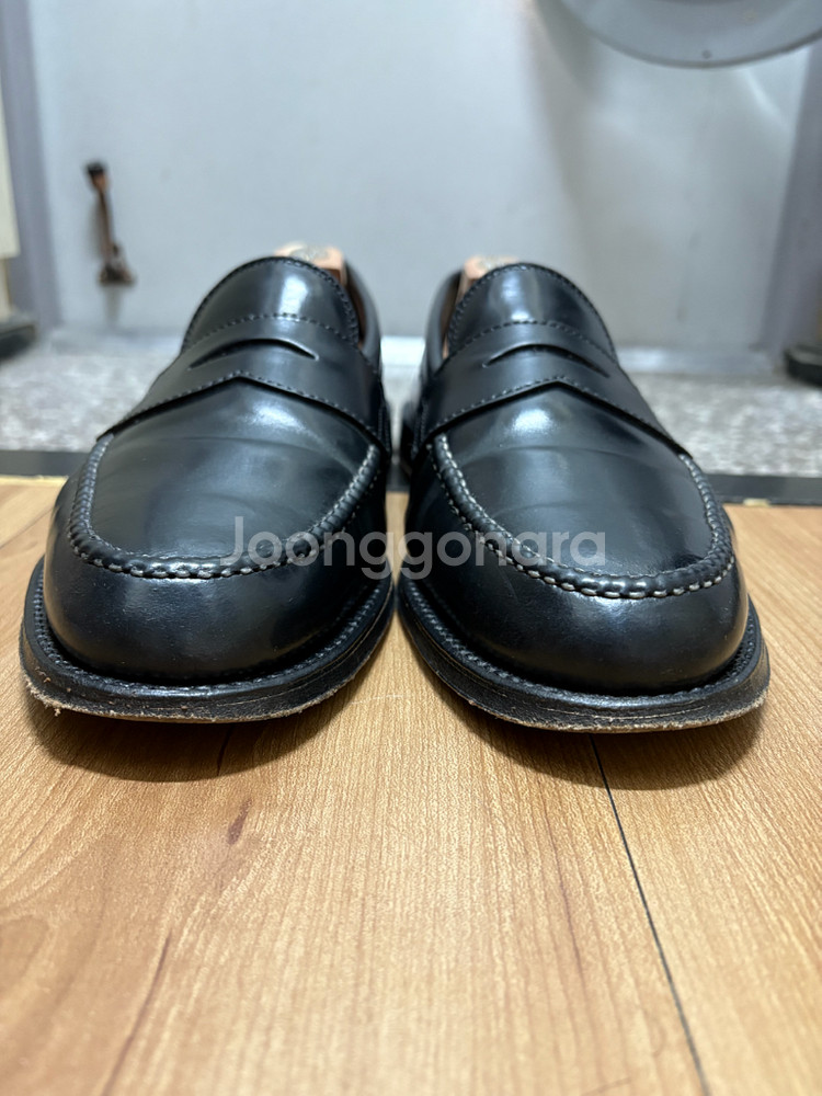 8.5D) Alden 알든 987--1
