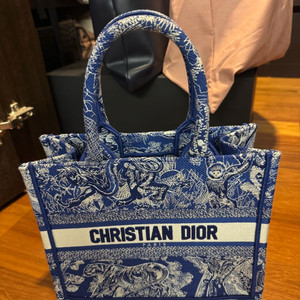 디올 북도트 미니