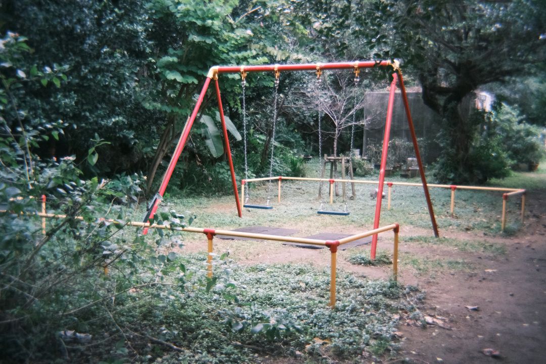 profile-image