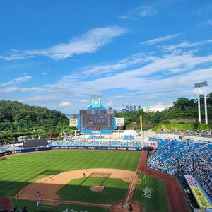 삼성라이온즈 홈경기 티켓 티켓링크 직링 판매