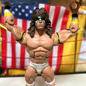 wwe 슈퍼스타 워리어ㆍ홍키 피규어