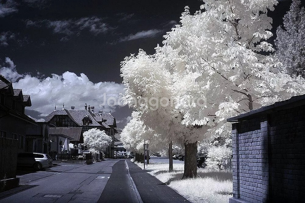 Canon KORALI Infrared Camera--7