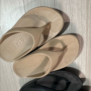 메드수 쪼리