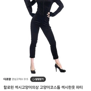 섹시 고양이 코스튬