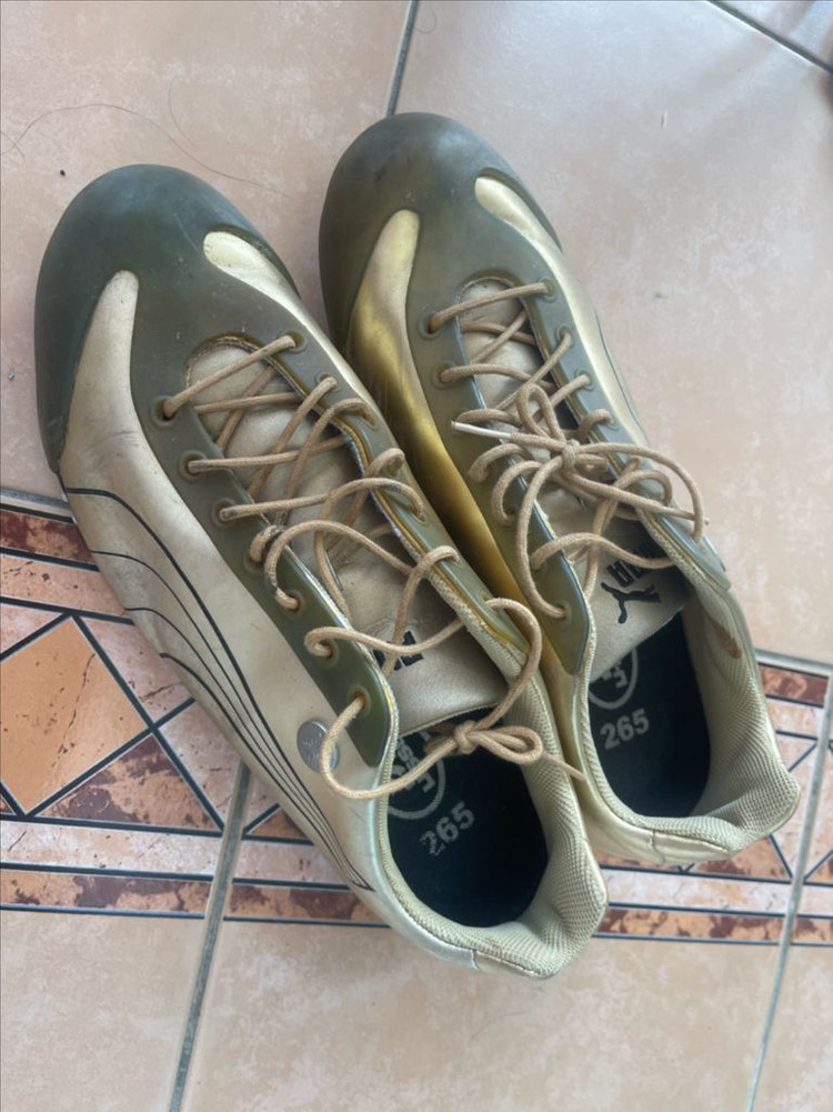 미하라 야스히로 퓨마 골드 이미지