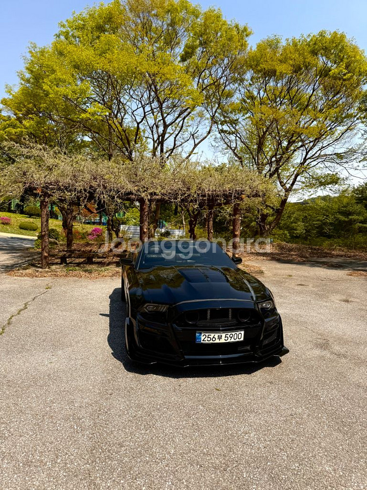 머스탱 2012 Cabriolet--4