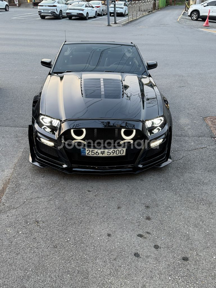 머스탱 2012 Cabriolet--5