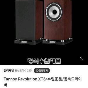 탄노이 TANNOY REVOLUTION XT6 스피커