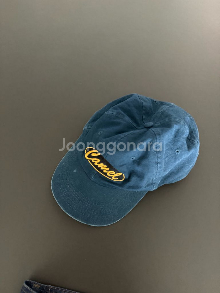 vintage camel cap--0