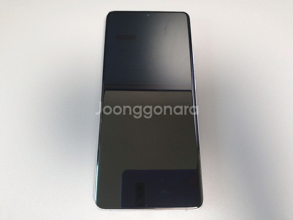 갤럭시 S21 울트라 / 256GB / 실버--1
