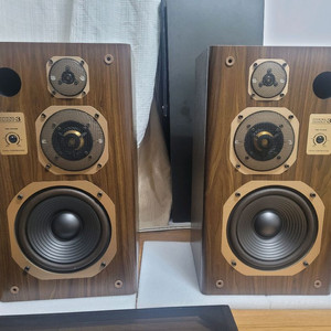 코랄 dx-3 스피커