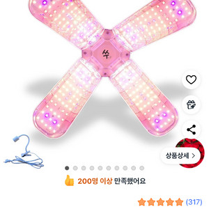 쑤우기 식물등