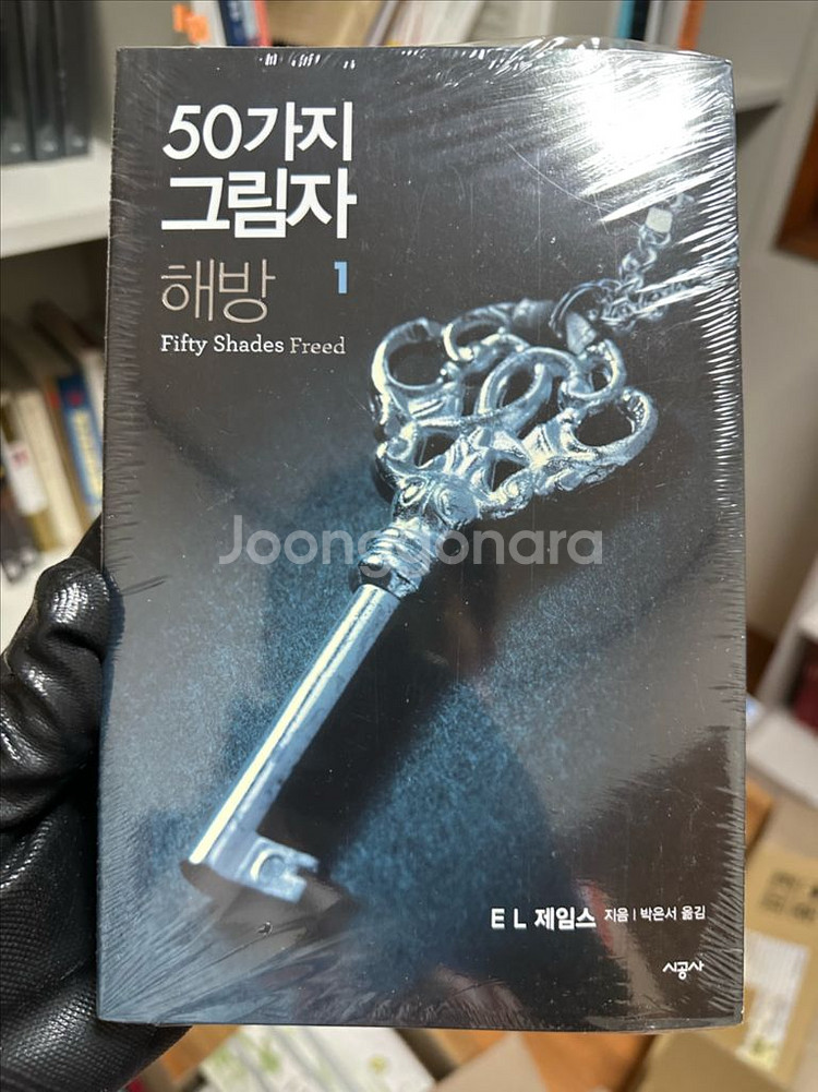 그레이의 50가지 그림자 심연,해방--1