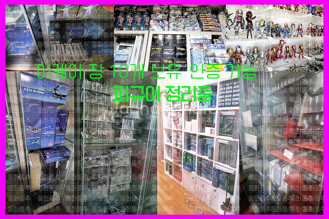 SD 기사건담 나이트건담 엑스포 맥끼--7