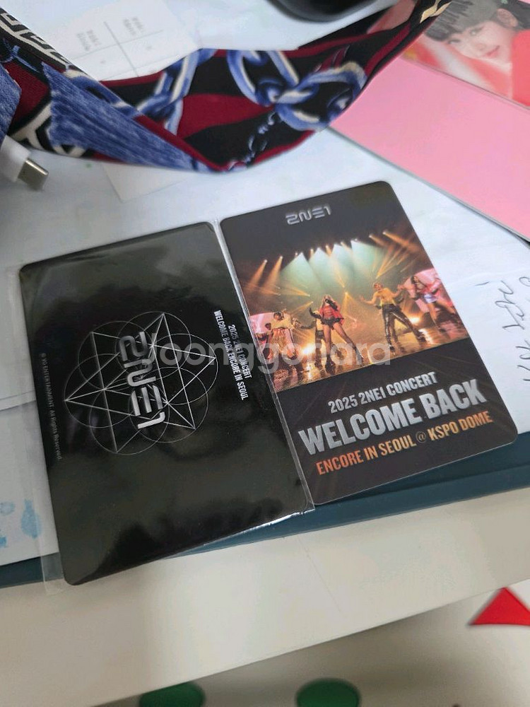 2ne1 콘서트 티켓 포토카드--0
