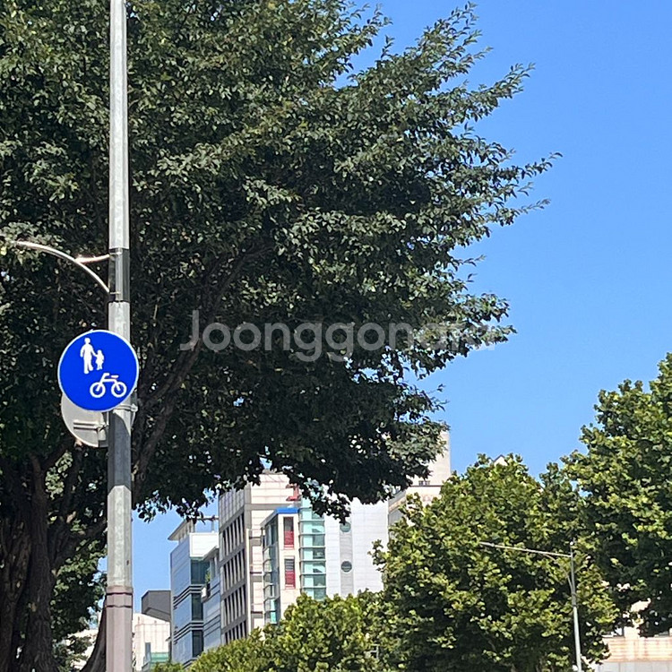 샤넬 키링--0
