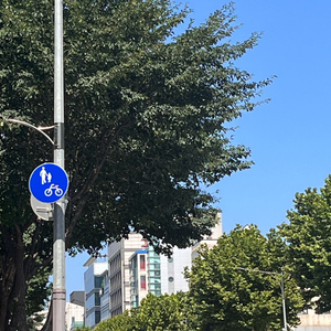 샤넬 키링