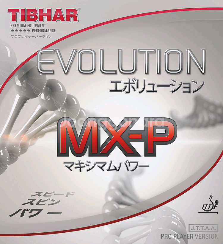 티바 에볼루션 MXP적색맥스--0