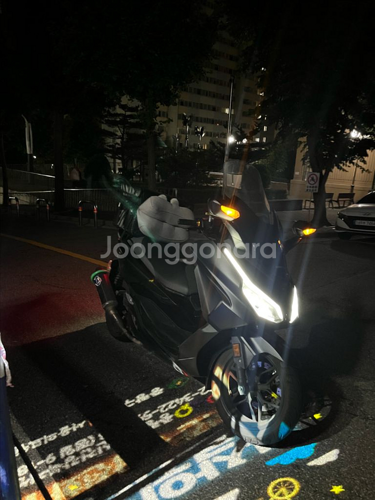 포르자 350(24년식) 떼르미뇨니 구변--0