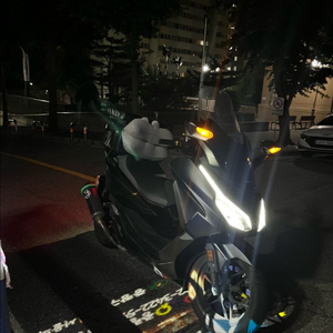 포르자 350(24년식) 떼르미뇨니 구변