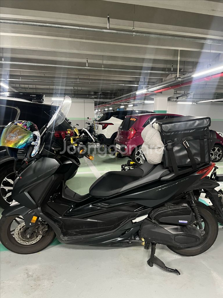 포르자 350(24년식) 떼르미뇨니 구변--1