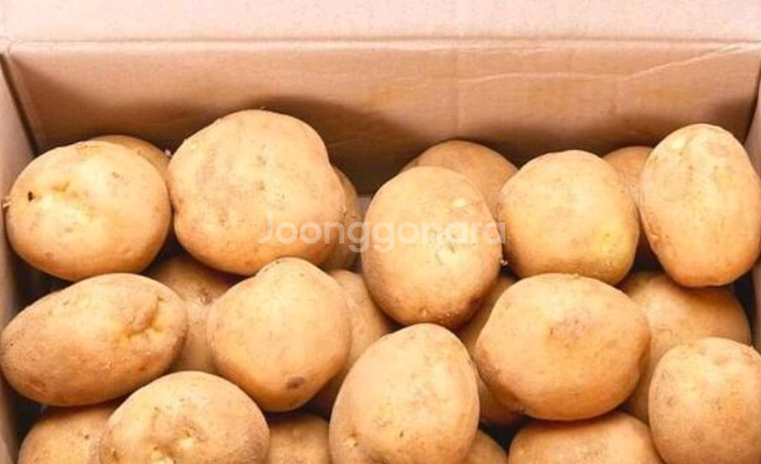 전북남원 고냉지 수미감자 10kg--0