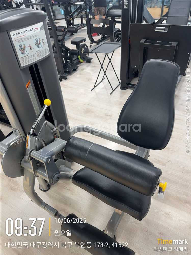파라마운트 레그 익스텐션 레그컬--0
