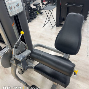파라마운트 레그 익스텐션 레그컬