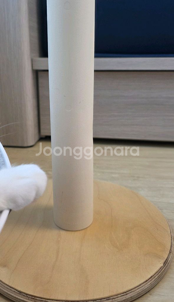 가또블랑코 하이엔드 캣폴--4