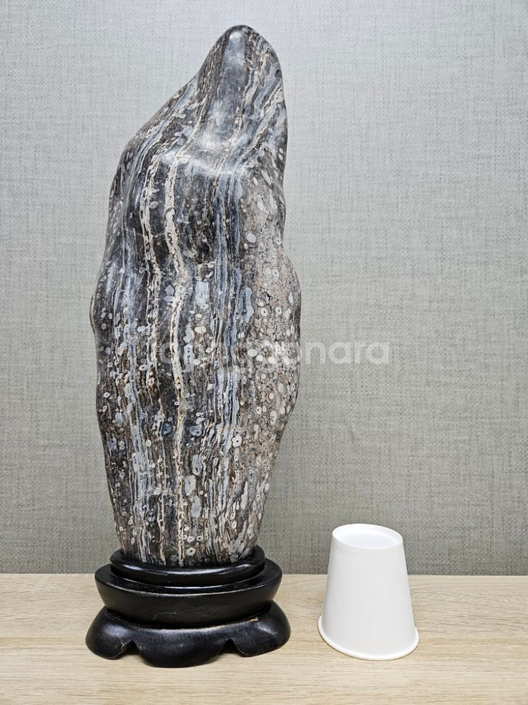 수석 돌 청송 매화 꽃돌 입석--8
