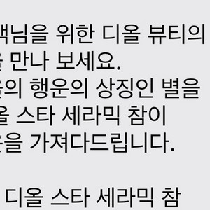디올 스타 세라믹 참 새상품