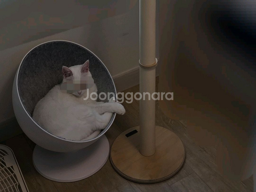 가또블랑코 하이엔드 캣폴--1